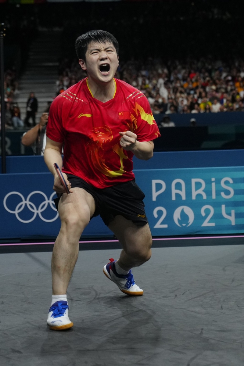 法国乒乓球队翻盘波兰乒乓球队，樊振东打破历史纪录的简单介绍