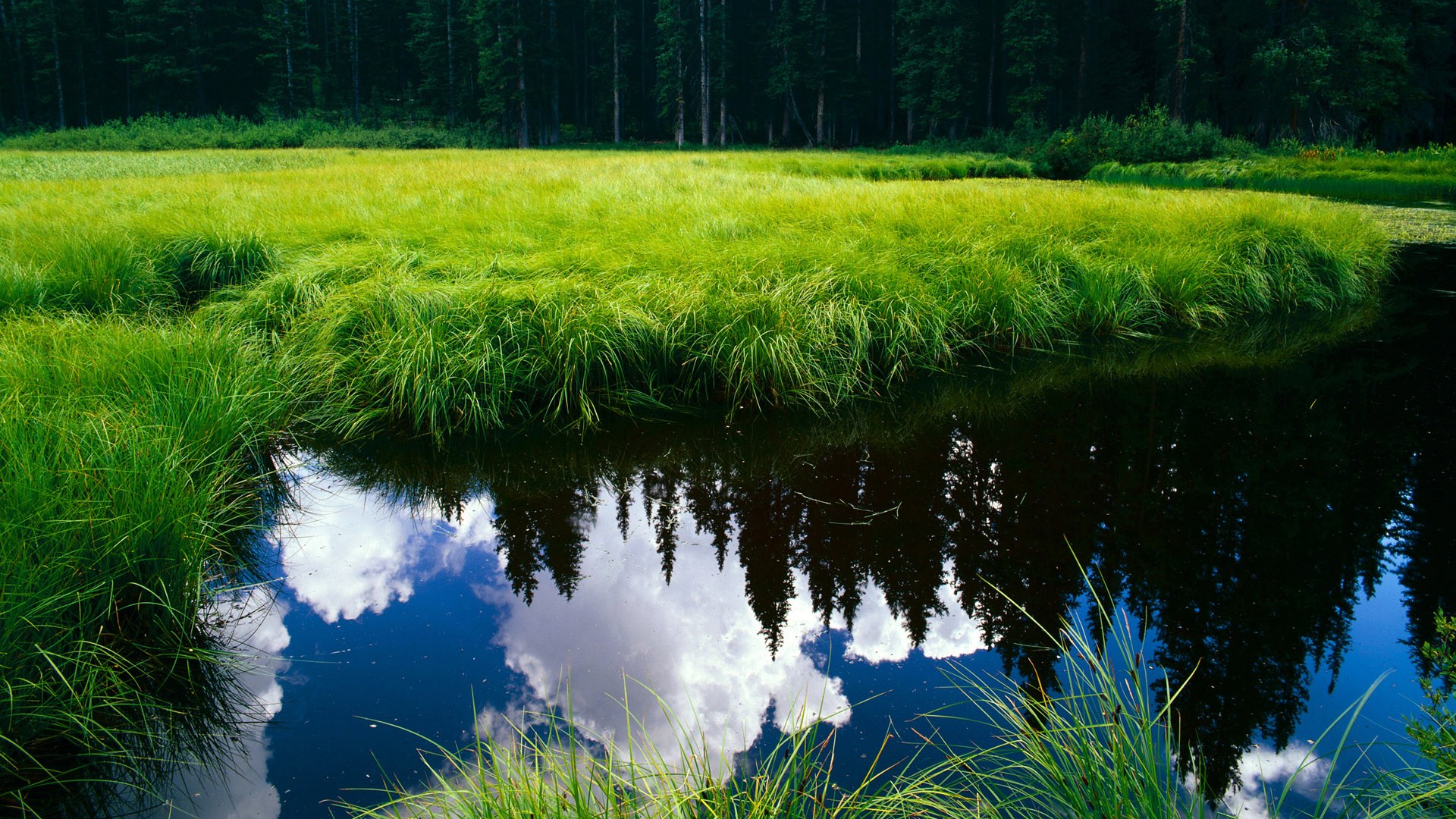 哨兵与纸壁,那夜阿根廷血染世界杯的奇幻决战