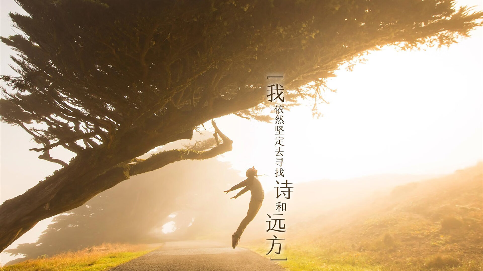 锁死阿根廷尖刀!奥纳纳铸就那不勒斯巅峰对决胜利