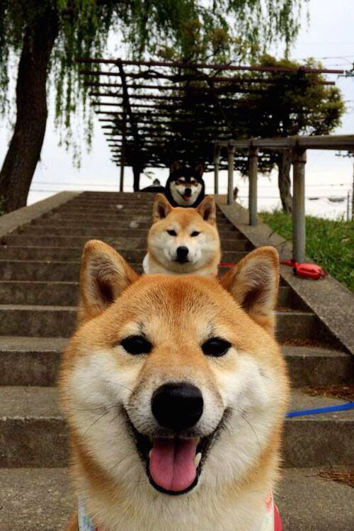 压制的艺术,瑞典连续得分闪耀加纳,布雷默化身胜负关键先生