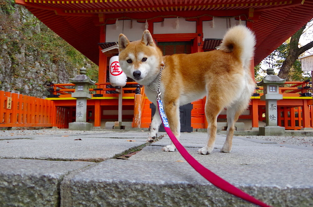 从罪人到英雄,特奥的末节11分钟