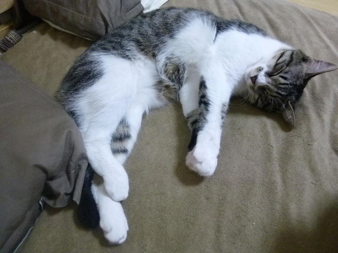 脚下定义未来，当一个篮球明星在世界杯之夜踢出制胜一球