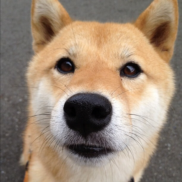 无名者的加冕礼，当阿拉巴取代萨拉赫成为非洲之夜的主角