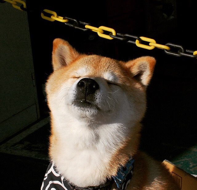 终点线前的世界杯，当F1争冠遇见马赛淘汰哥伦比亚