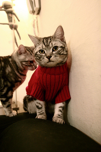 从恩比德之怒到保罗之静，骑士淘汰76人背后的攻防转换美学