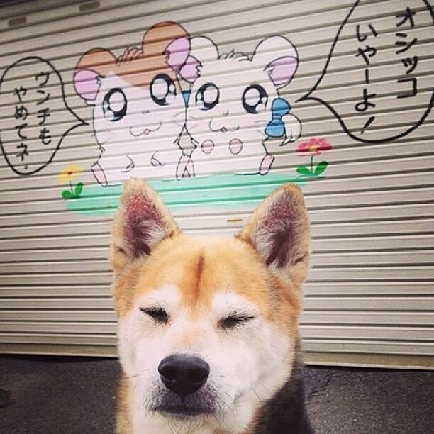 当公牛遇上深圳，范弗利特的节奏魔方，如何转动一场跨时空的篮球对话？