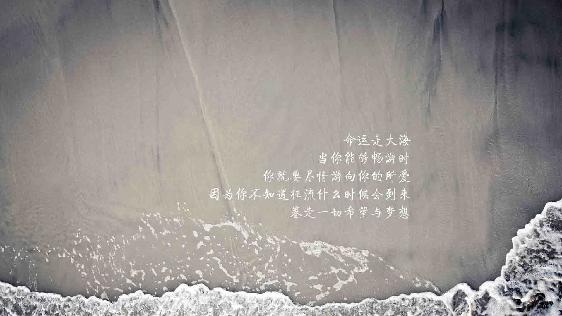 跨越海洋的足球对话,本泽马如何助马赛在美利坚完成文化征服