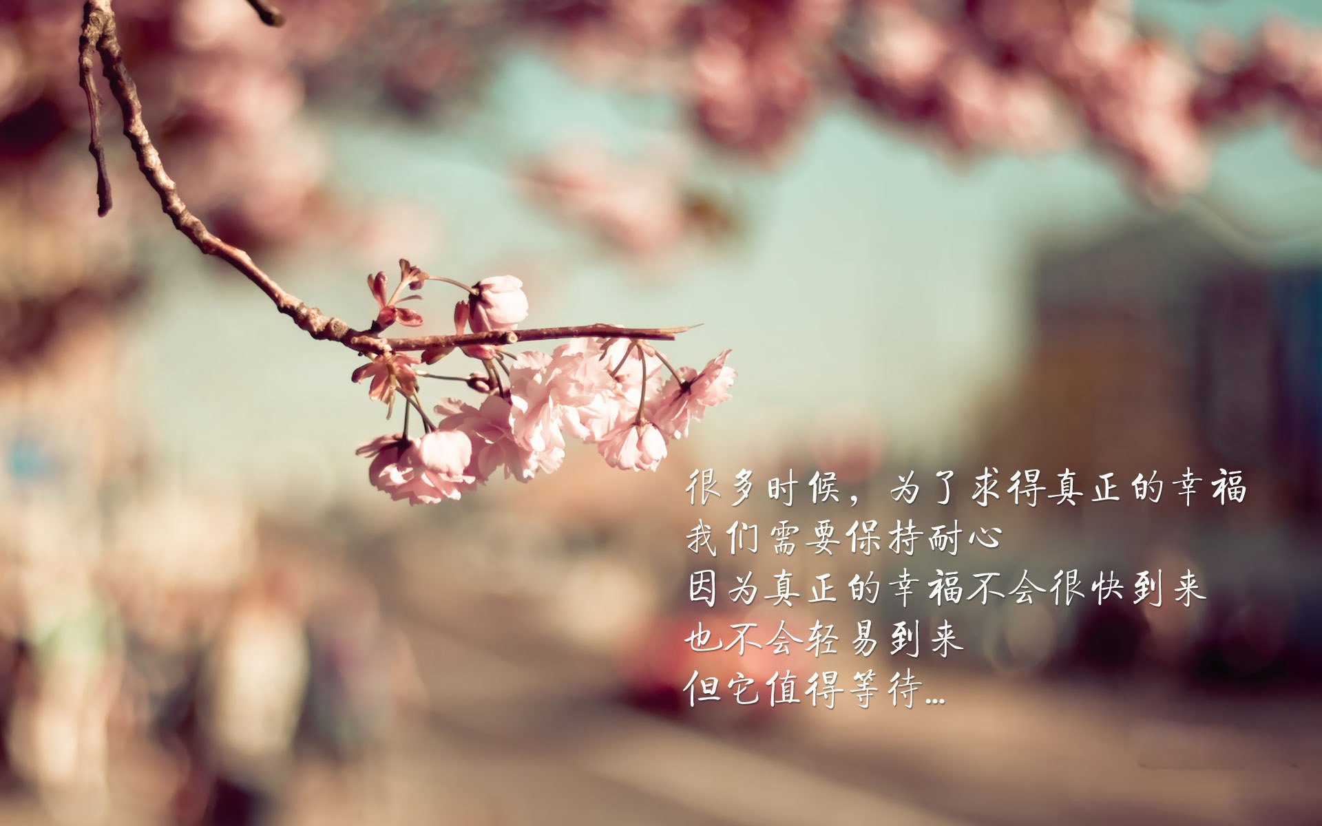 卡利之夜的唯一独白,当逆龄苏亚雷斯用一场胜利,为哥伦比亚写下2026的史诗注脚