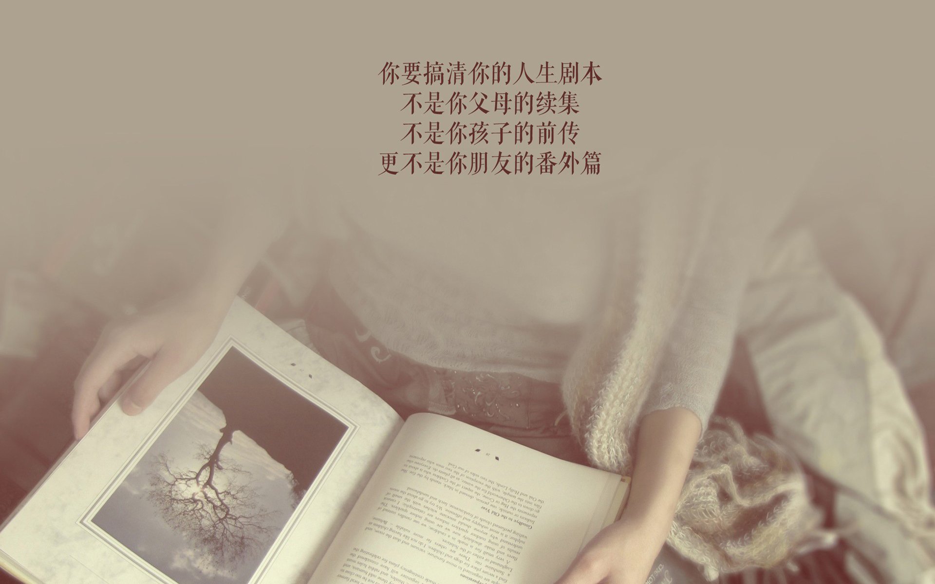 绝境中的双面绝杀,2026世界杯E组关键战,莫德里奇带队逆转,葡萄牙绝杀波兰书写生死剧本